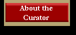About the Curator